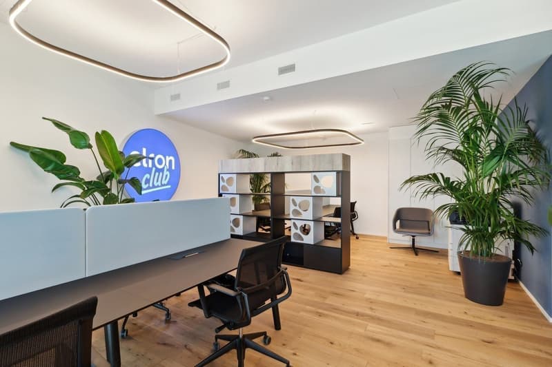 Basel-Münchenstein Co-Working Arbeitsplätze zu vermieten (2)