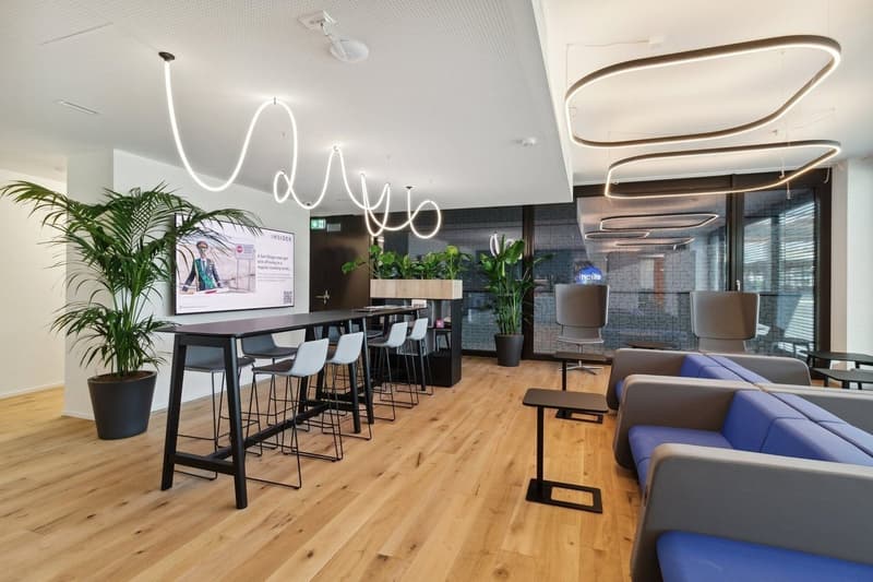 Basel-Münchenstein Co-Working Arbeitsplätze zu vermieten (7)