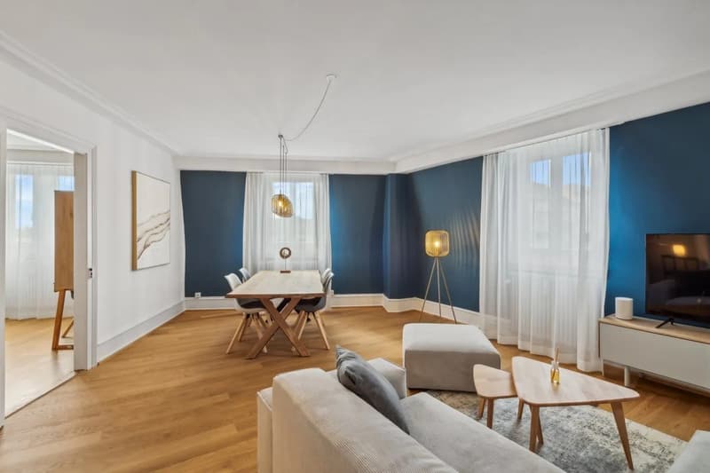 Basel-Güterstrasse möbliertes 2.5-Zimmer-Apartment (4)