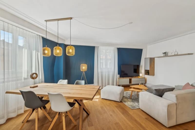 Basel-Güterstrasse möbliertes 2.5-Zimmer-Apartment (5)