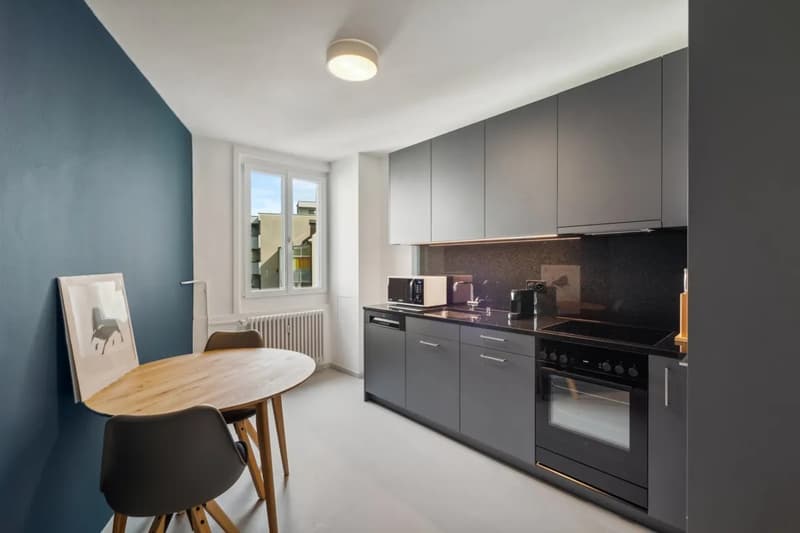 Basel-Güterstrasse möbliertes 2.5-Zimmer-Apartment (2)