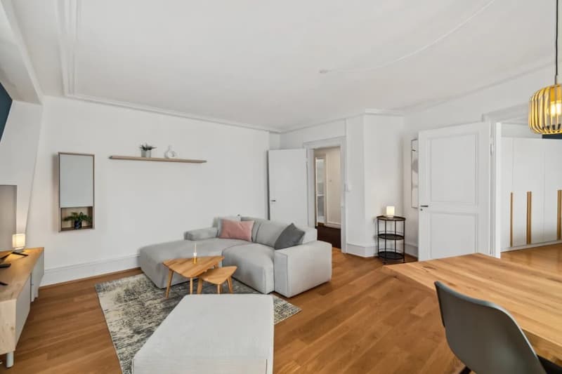 Basel-Güterstrasse möbliertes 2.5-Zimmer-Apartment (6)