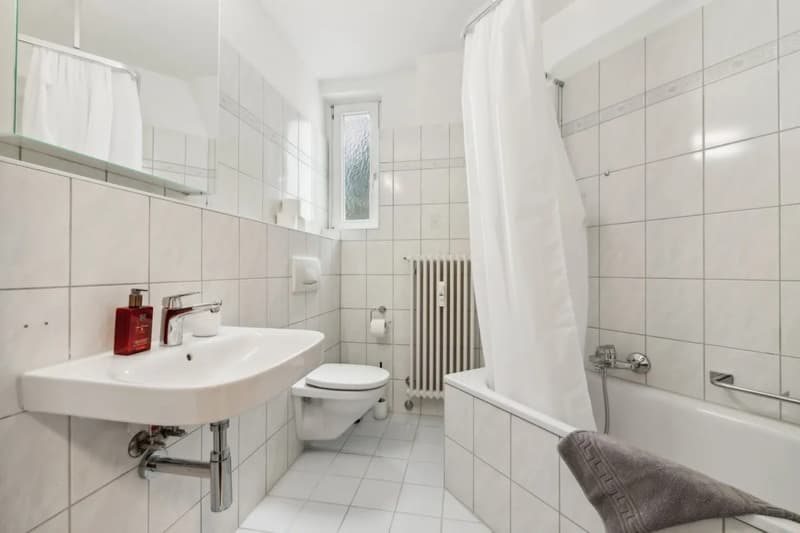 Basel-Güterstrasse möbliertes 2.5-Zimmer-Apartment (6)