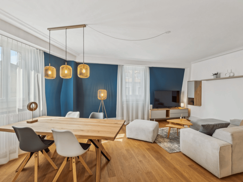 Basel-Güterstrasse möbliertes 2.5-Zimmer-Apartment (2)