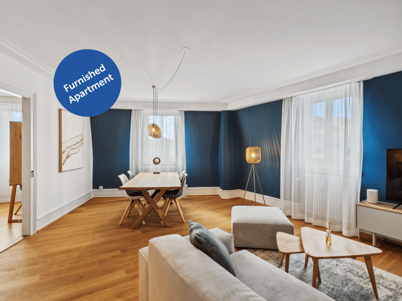 Basel-Güterstrasse möbliertes 2.5-Zimmer-Apartment (1)