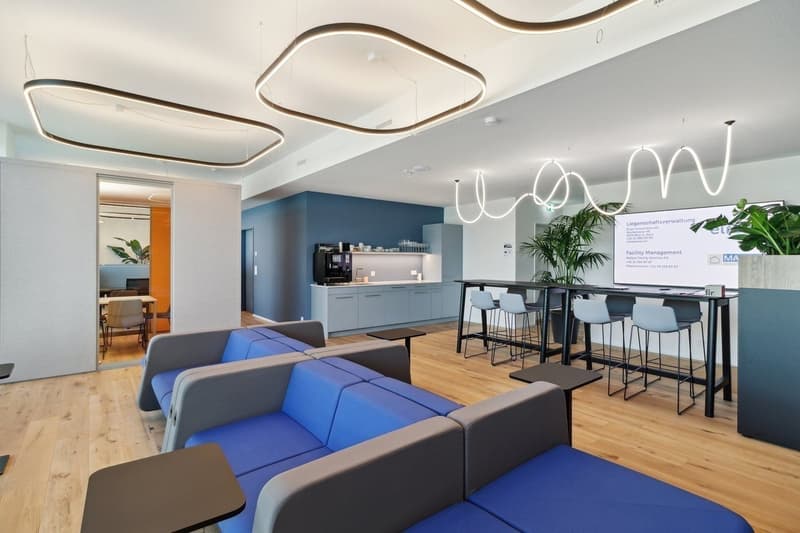 Basel-Münchenstein Co-Working Arbeitsplätze zu vermieten (5)