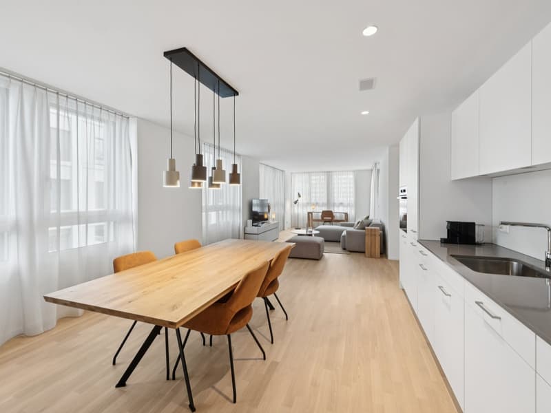 Möblierte Apartments mit Madrid Flair direkt im grössten Shoppingcenter der Schweiz! (3)