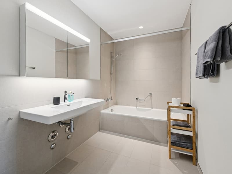 Möblierte Apartments mit Madrid Flair  direkt im grössten Shoppingcenter der Schweiz! (13)