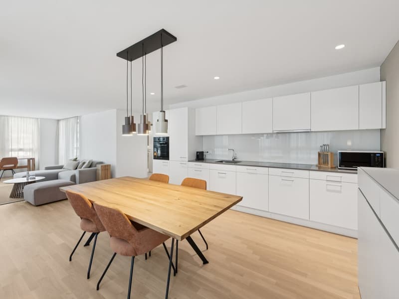 Möblierte Apartments mit Madrid Flair  direkt im grössten Shoppingcenter der Schweiz! (4)