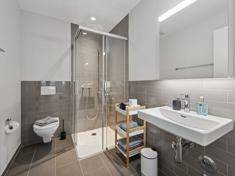 Möblierte Apartments mit Madrid Flair direkt im grössten Shoppingcenter der Schweiz! (6)