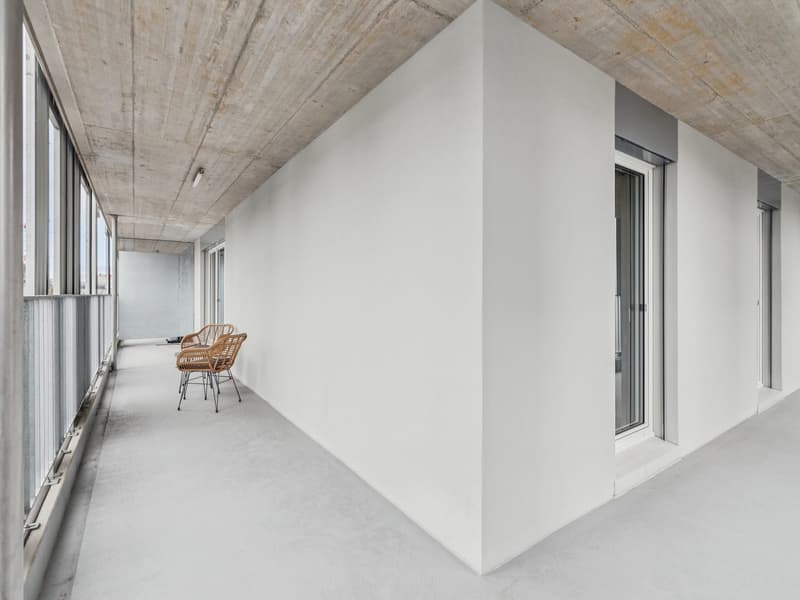 Design-Apartments im Lisbon-Style  Direkt am Bahnhof Muttenz (9)