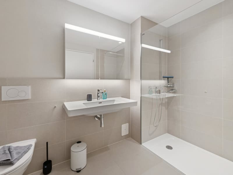 Möblierte Apartments mit Madrid Flair  direkt im grössten Shoppingcenter der Schweiz! (7)