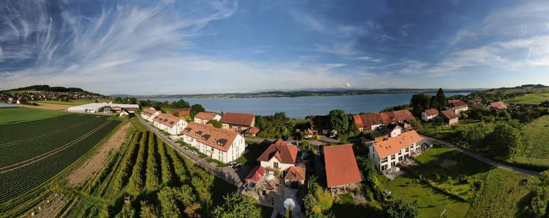 Verkauf einer aussergewöhnlichen 9-Zimmer-Villa im Stil der Belle Époque (8)