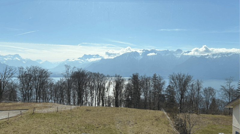 Magnifique Villa de 9 Pièces avec Vue Panoramique au Mont-Pèlerin (1)