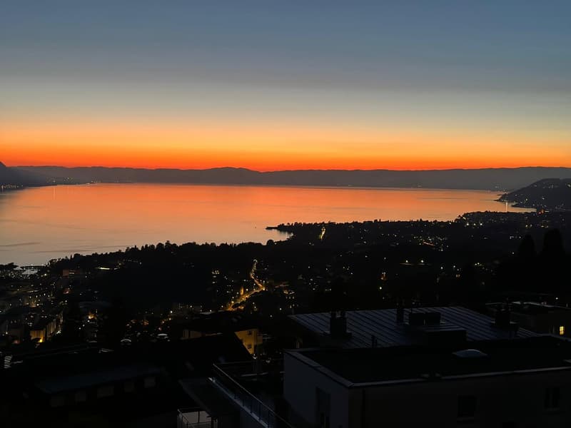 Magnifique appartement en attique de 3 pièces avec vue panoramique à Chernex (11)