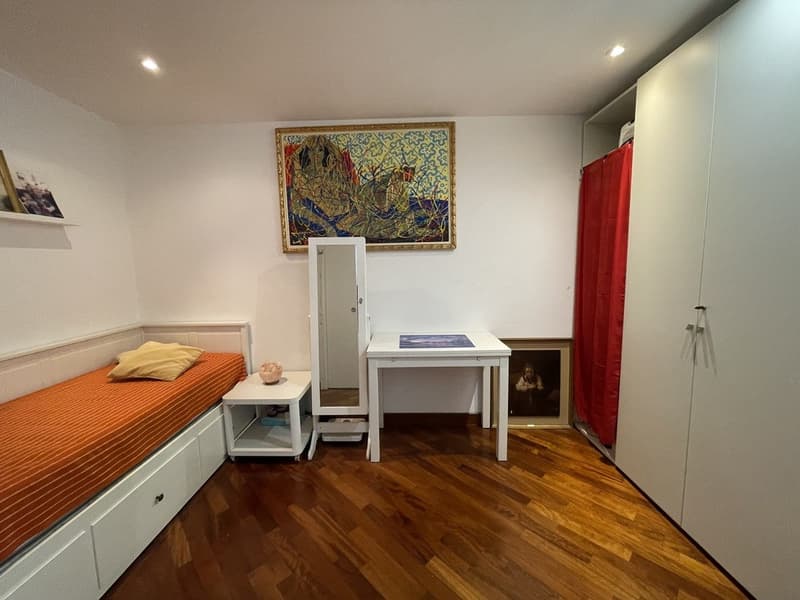 AMPIO APPARTAMENTO 2.5 CON VISTA LAGO E POSTEGGIO ESTERNO (9)
