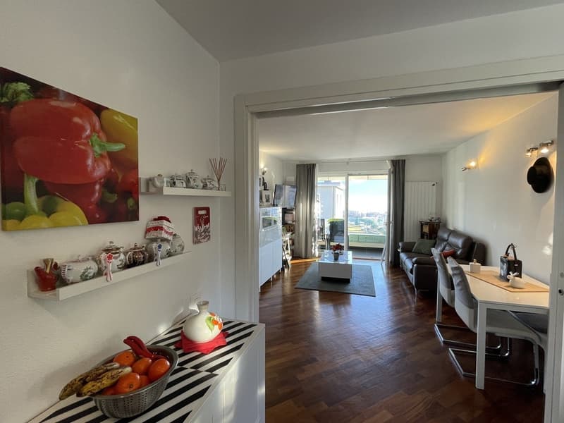 AMPIO APPARTAMENTO 2.5 CON VISTA LAGO E POSTEGGIO ESTERNO (6)