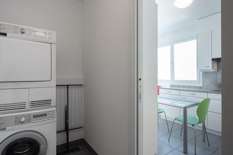 LUMINOSO ED AMPIO APPARTAMENTO 3.5 IN CITTA' (6)