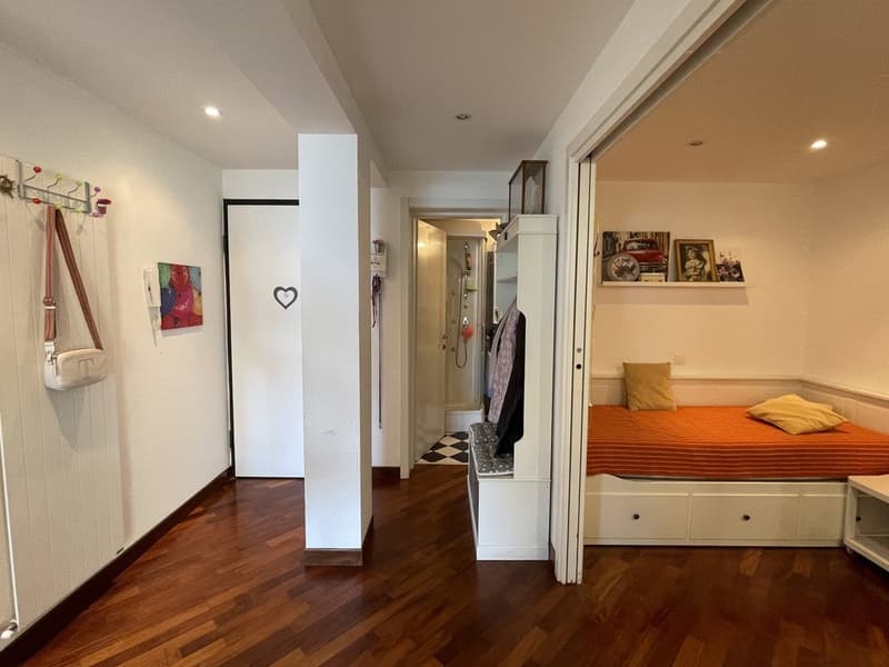 AMPIO APPARTAMENTO 2.5 CON VISTA LAGO E POSTEGGIO ESTERNO (8)