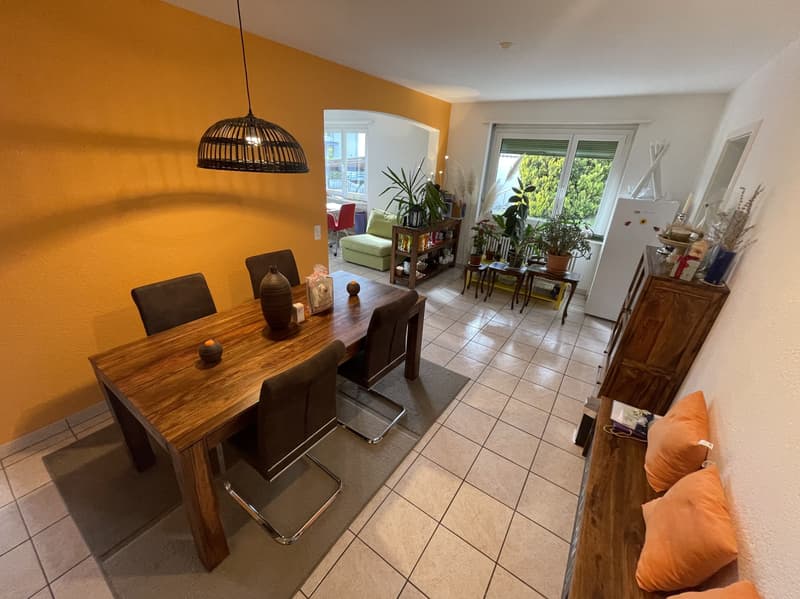 INTERESSANTE APPARTAMENTO 4.5 CON PISCINA A COMANO (6)