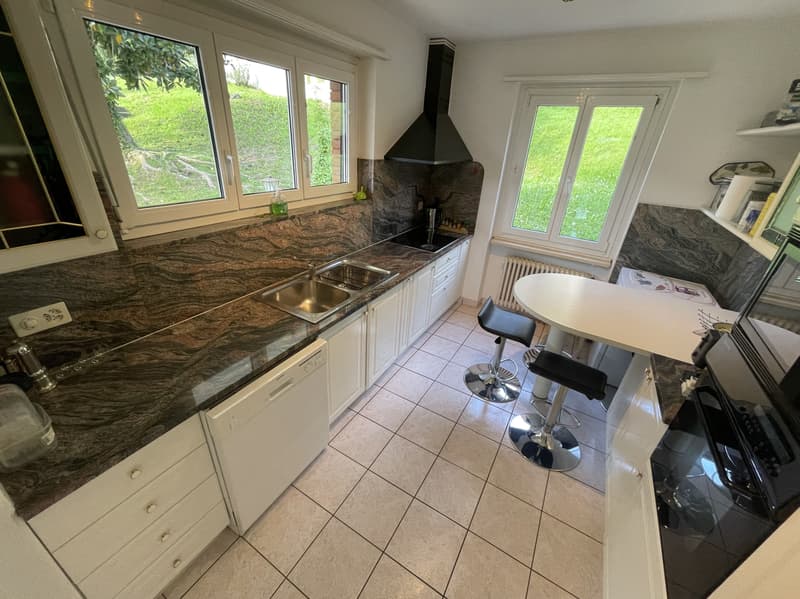 INTERESSANTE APPARTAMENTO 4.5 CON PISCINA A COMANO (9)