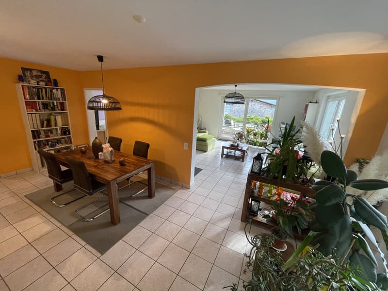 INTERESSANTE APPARTAMENTO 4.5 CON PISCINA A COMANO (7)