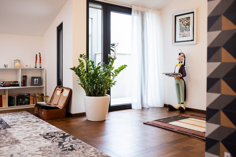 INTROVABILE E PREGIATO DUPLEX NEL CUORE DI LUGANO (8)