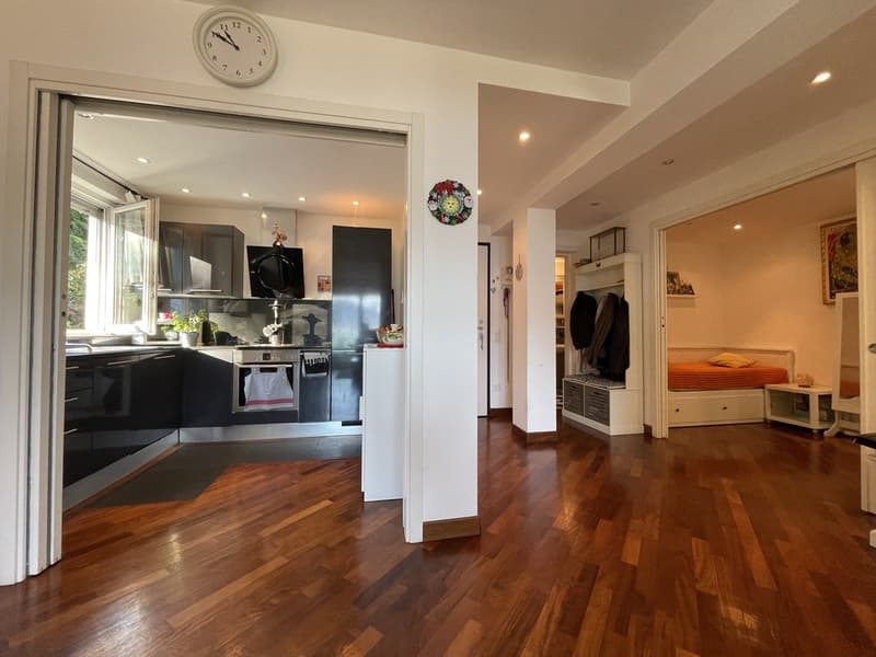 AMPIO APPARTAMENTO 2.5 CON VISTA LAGO E POSTEGGIO ESTERNO (2)