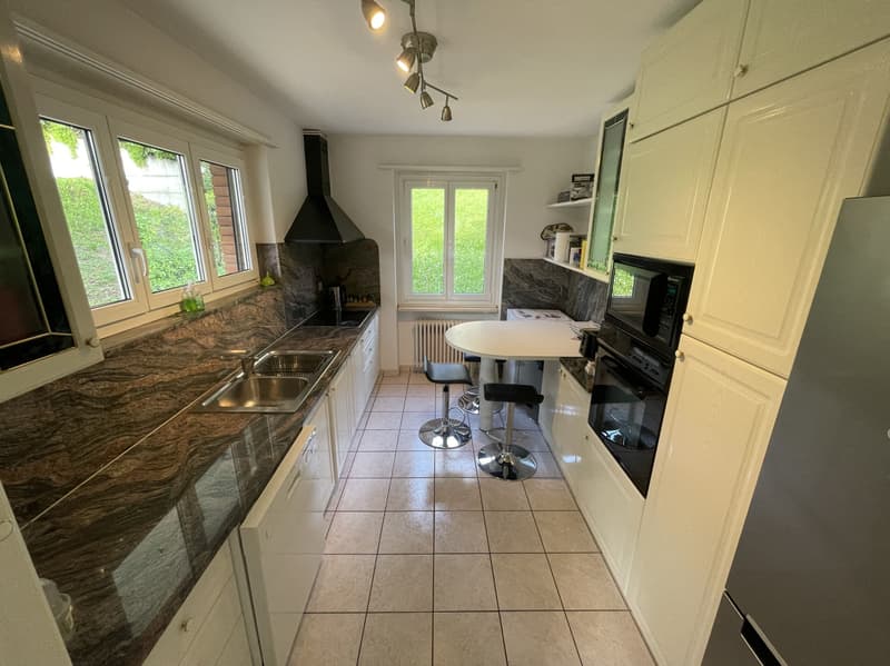INTERESSANTE APPARTAMENTO 4.5 CON PISCINA A COMANO (10)
