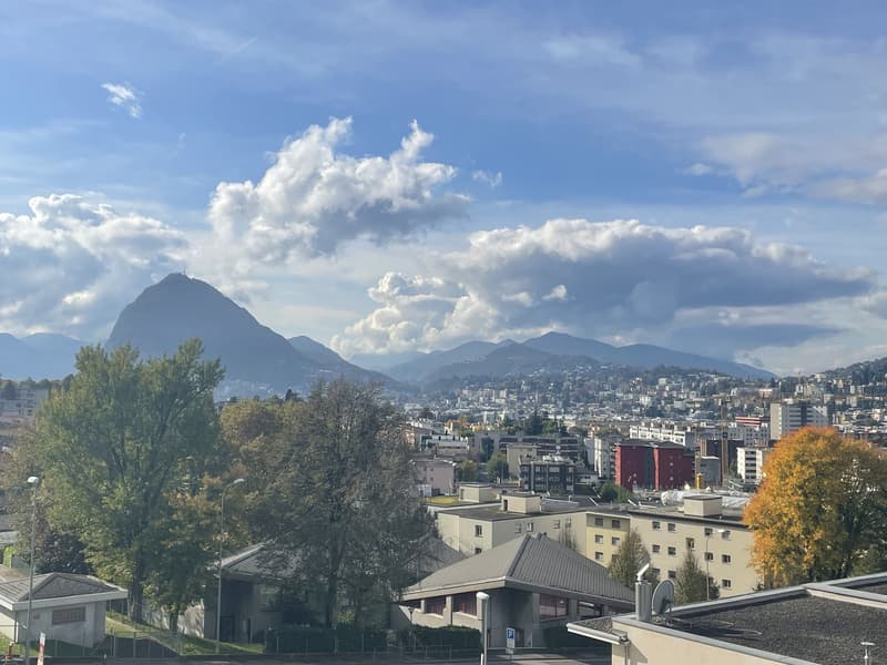 AFFASCINANTE APPARTAMENTO 4.5 ALL'ULTIMO PIANO CON SOPPALCO (11)