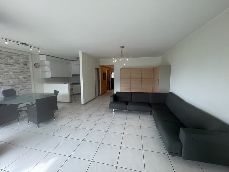 APPARTAMENTO 4.5 CON SPLENDIDA VISTA CITTA' E PARZIALE LAGO (5)