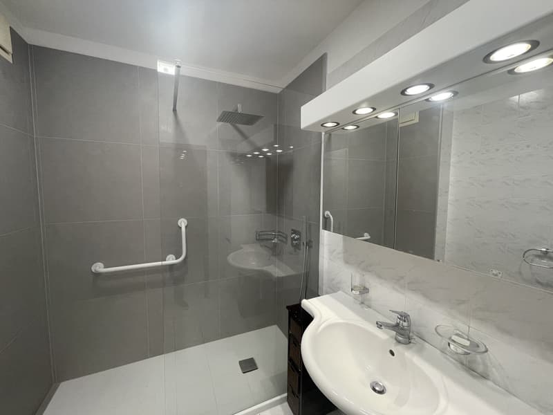 APPARTAMENTO 4.5 CON SPLENDIDA VISTA CITTA' E PARZIALE LAGO (11)
