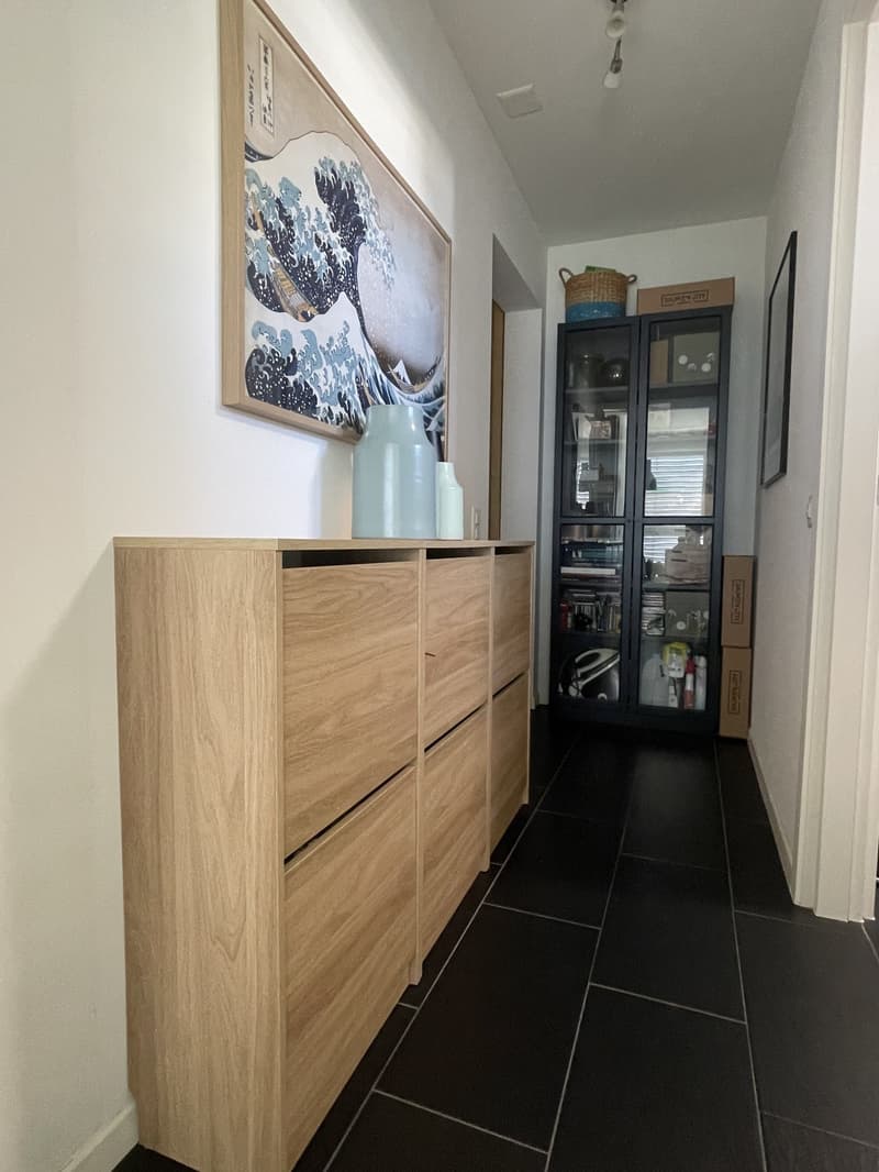 BELL' APPARTAMENTO 3.5 CON GRANDE TERRAZZA E 2 POSTEGGI (10)