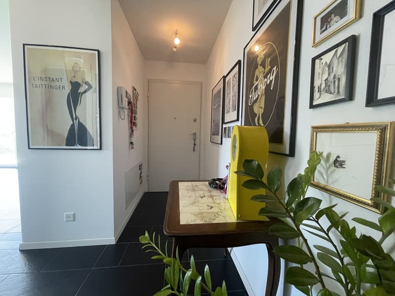 BELL' APPARTAMENTO 3.5 CON GRANDE TERRAZZA E 2 POSTEGGI (8)