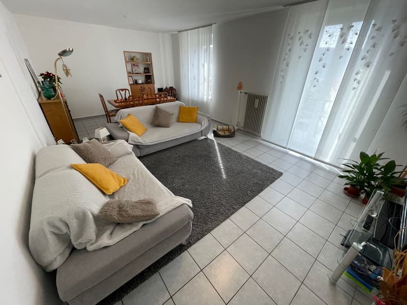 INTERESSANTE CASA 6.5 LOCALI CON GIARDINETTO (7)