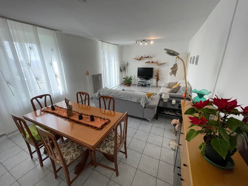 INTERESSANTE CASA 6.5 LOCALI CON GIARDINETTO (10)