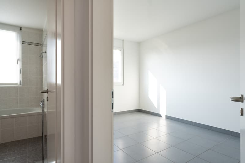 LUMINOSO ED AMPIO APPARTAMENTO 3.5 IN CITTA' (9)