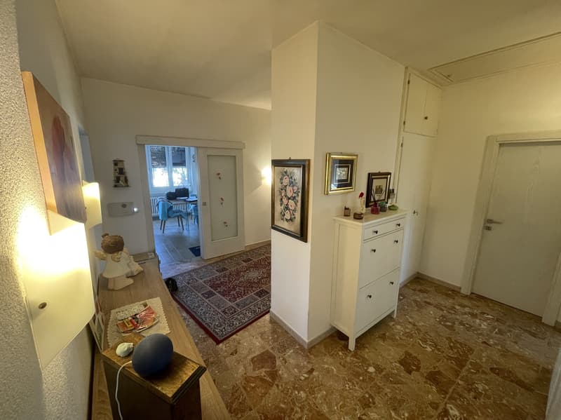 BELLA CASA UNIFAMILIARE 4.5 CON AMPIO GIARDINO (12)
