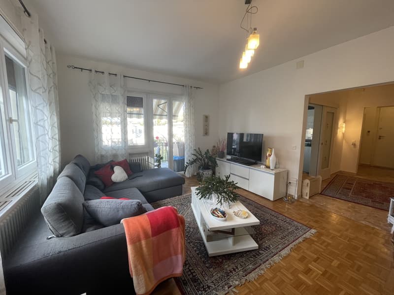 BELLA CASA UNIFAMILIARE 4.5 CON AMPIO GIARDINO (7)