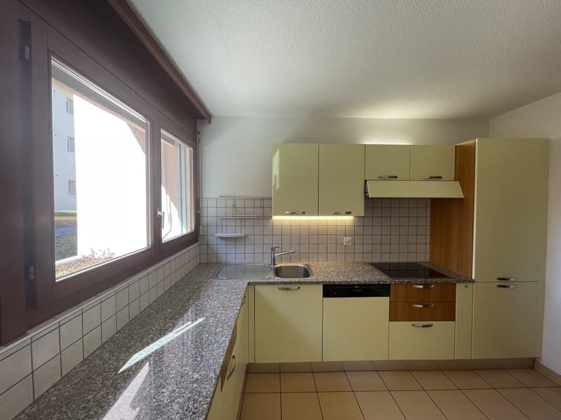 AMPIO APPARTAMENTO 2.5 RIATTATO CON GIARDINO (5)