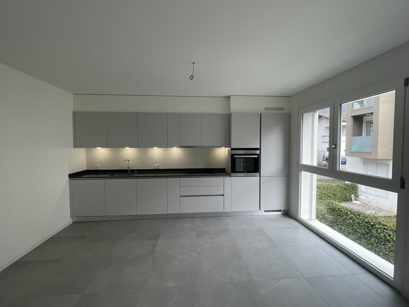 MODERNO ED AMPIO APPARTAMENTO 2.5 CON DUE POSTEGGI INTERNI (4)