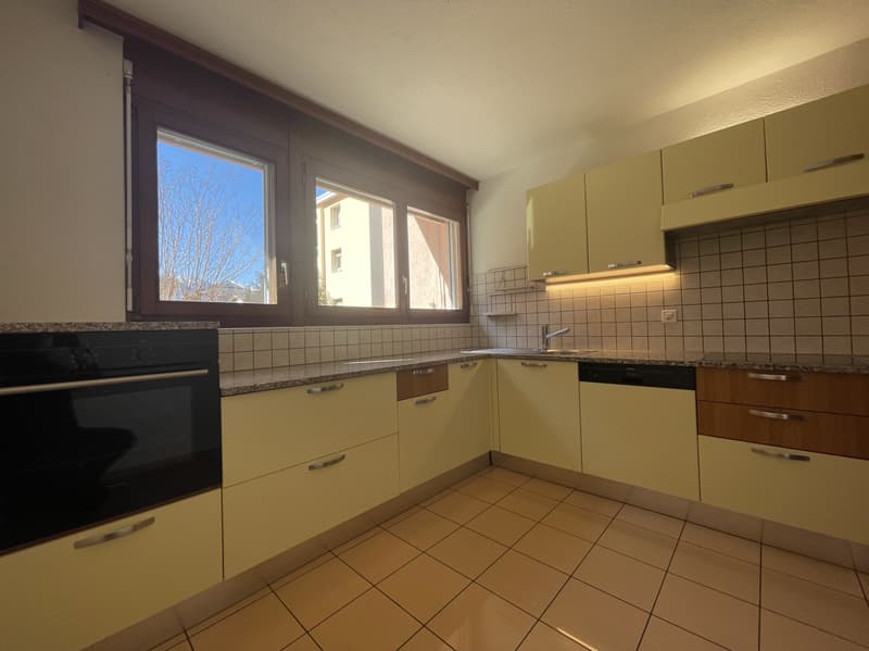 AMPIO APPARTAMENTO 2.5 RIATTATO CON GIARDINO (4)