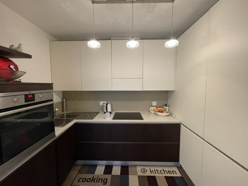 ELEGANTE ED AMPIO APPARTAMENTO 2.5 CON GRANDE POSTEGGIO (7)