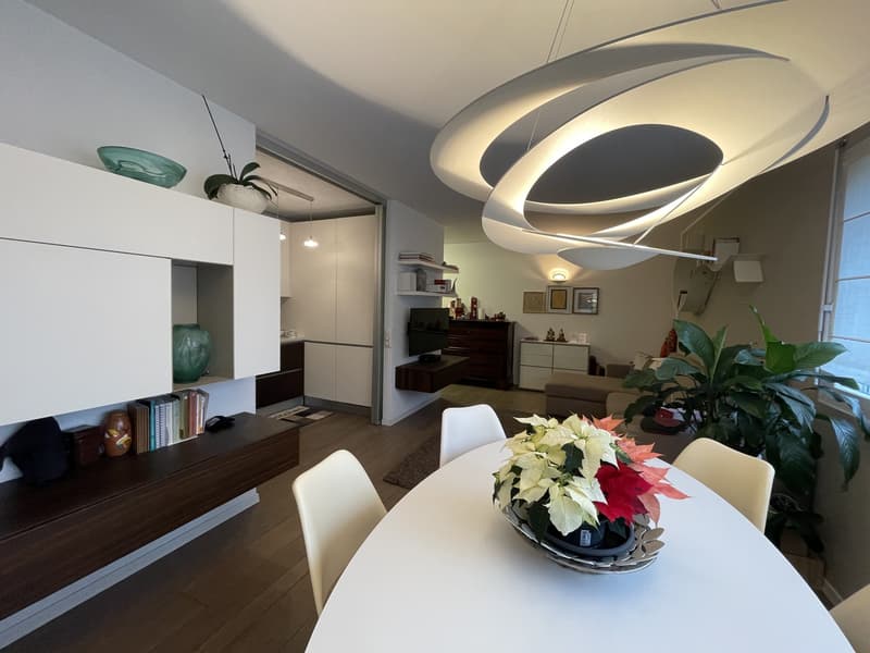 ELEGANTE ED AMPIO APPARTAMENTO 2.5 CON GRANDE POSTEGGIO (5)