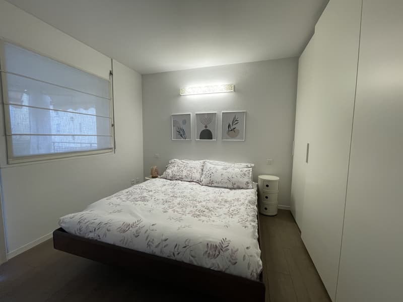 ELEGANTE ED AMPIO APPARTAMENTO 2.5 CON GRANDE POSTEGGIO (10)