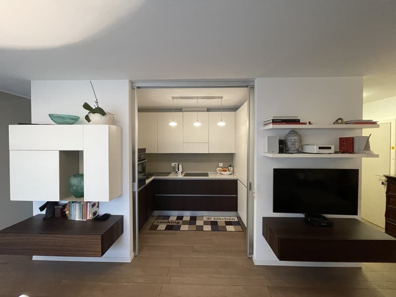 ELEGANTE ED AMPIO APPARTAMENTO 2.5 CON GRANDE POSTEGGIO (6)
