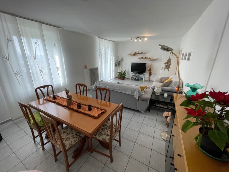 INTERESSANTE CASA 6.5 LOCALI CON GIARDINETTO (9)