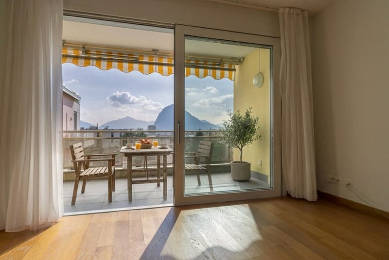 LUMINOSO ED AMPIO APPARTAMENTO 3.5 IN CITTA' (1)