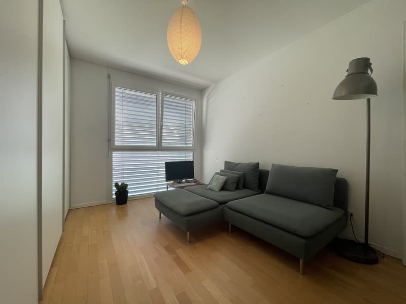 BELL' APPARTAMENTO 3.5 CON GRANDE TERRAZZA E 2 POSTEGGI (11)