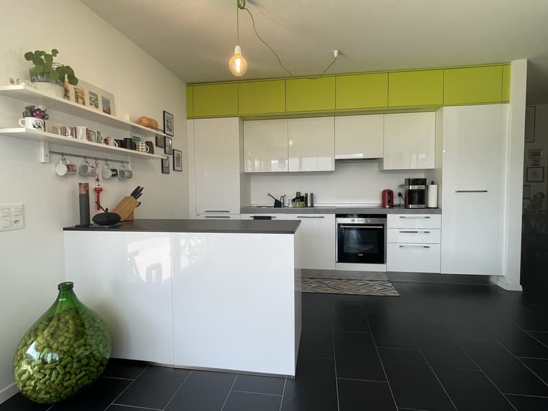 BELL' APPARTAMENTO 3.5 CON GRANDE TERRAZZA E 2 POSTEGGI (4)
